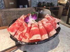 -鲜潭蒸汽石锅鱼(五道口购物中心店)