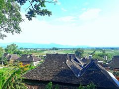 -西双版纳原始森林公园