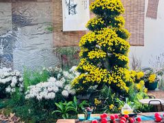 -杭州植物园