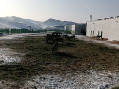 -新疆天山野生动物园