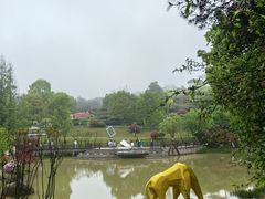 -铁山坪森林公园