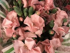 -南京金牛湖风景区