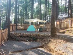 -重庆睡佛山森林公园