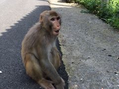 龙王山漂流-安吉龙王山峡谷漂流