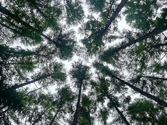 -长春净月潭风景名胜区