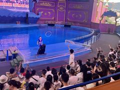 -横店影视城梦幻谷园区