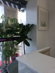 -ASA HAIR SALON