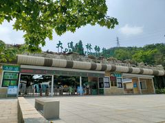 -大连森林动物园