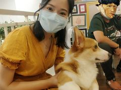 -柯斗斗主题餐厅·狗咖·围炉煮茶·茶饮(国瑞升平里店)