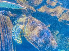 -太平洋海底世界