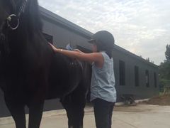 -月河湾马术俱乐部(朝阳店)