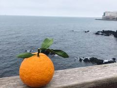 -龙头岩(Dragon Head Rock)