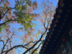 -灵谷景区