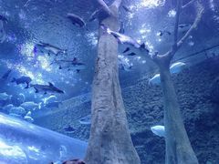 -成都浩海立方海洋公园