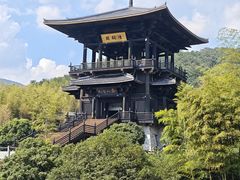 -大唐贡茶院