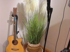 -花夏之音·成人音乐空间(彭埠店)