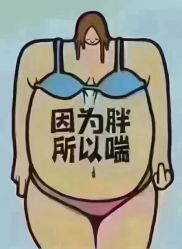 -香薇妮丝·定制减肥·身材管理