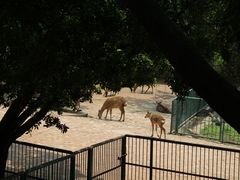 -柳州市动物园