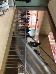 -南京市儿童医院(广州路院区)