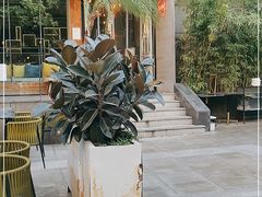-the rug 飞毯 (朝阳公园店)