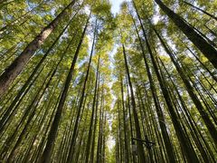 -山王坪喀斯特国家生态公园