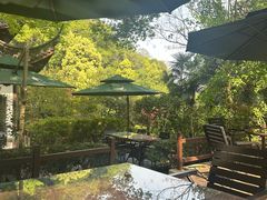 -十八棵（老龙井）御茶园(老龙井店)