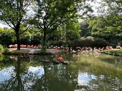 -上海野生动物园