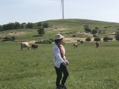 -塞罕坝国家级自然保护区