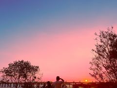 -宝安西湾红树林湿地公园