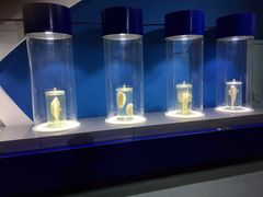 -福州罗源湾海洋世界旅游区