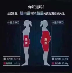 -香薇妮丝·定制减肥·身材管理