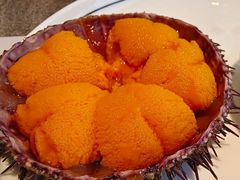 -常鲜楼常来尝鲜海胆馆(星海店)