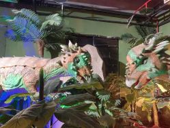 -恐龙探索乐园(磁器口店)