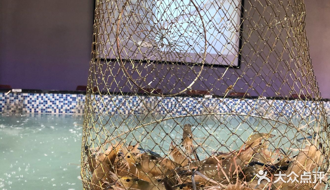 东莞目前最好钓的钓虾馆