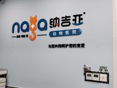 -纳吉亚猫专科动物诊疗中心(蒋宅口分院)