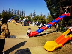 -上海长兴岛郊野公园