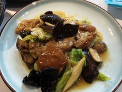 -席家花园(巨鹿花园店)