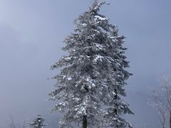 -雪谷