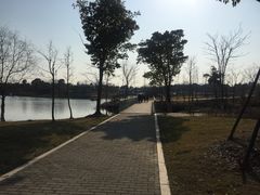 -尚贤河湿地