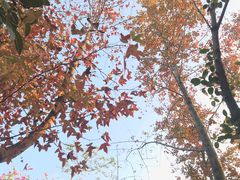 -北京师范大学(珠海校区)