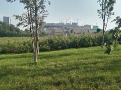 -长春世界雕塑园冰雪艺术天地