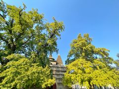 -北京石刻艺术博物馆(五塔寺)