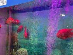 -雅悦齿科(顾村公园店)