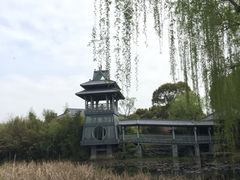 -金鸡湖桃花岛