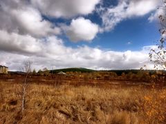 -塞罕坝国家级自然保护区