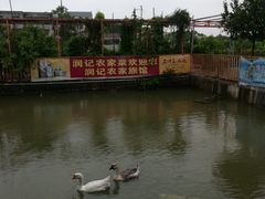 -润记农家菜