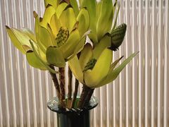 -雕刻时光咖啡馆(北苑店)