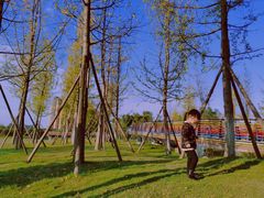 -府河摄影公园