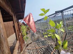 -呀路古热带植物园