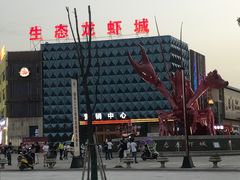 -小李子油焖大虾(天下城旗舰店)